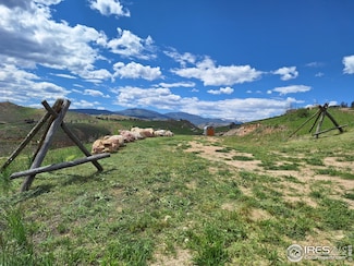 0 Meadow Mountain Dr, Livermore, CO 80536