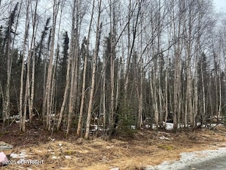 4860 W Hollow Nook Dr, Wasilla, AK 99654