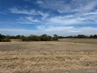 11 Golden Ln, Flint Hill, MO 63385