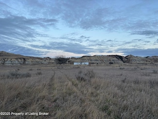 0 148th Ave SW, South Billings, ND 58645