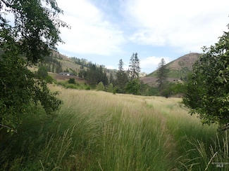 385 Glenwood Rd, Kamiah, ID 83536