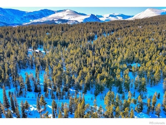 603 Bobcat Ln Unit 466, Fairplay, CO 80440