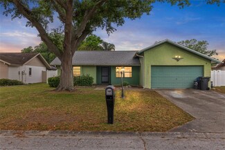 1727 Lake Crest Ave, Brandon, FL 33510
