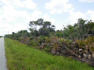0 E 61st Ave Unit A4407808, Myakka City, FL 34251