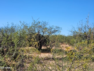 lot s Calle Molinar 350-350 --, Sierra Vista, AZ 85650