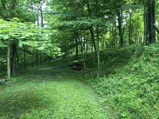 Lot 57 Pinehill Estates, Kenova, WV 25530