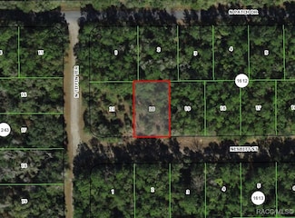 1049 E Nesbitt Ln, Citrus Springs, FL 34434