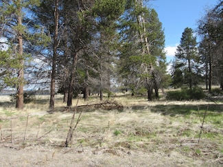 0 Longhorn Loop Unit 883882 220163638, Chiloquin, OR 97624