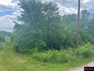 Lot 58 Town Park Way, Mountain Home, AR 72653