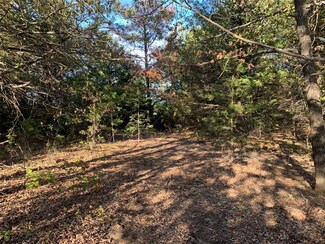 Lot 16 Private Road 41, Honey Grove, TX 75446