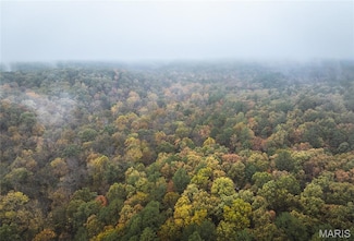 2 Lodge Rd, Bourbon, MO 65441