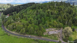 269 Jarvis Rd, Mossyrock, WA 98564