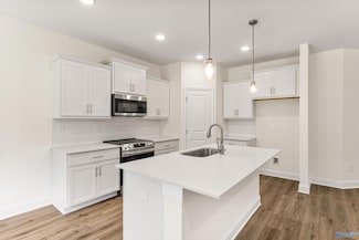 234 Jerrie Lynn Blvd, Meridianville, AL 35759