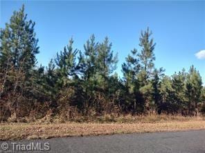 114 Harborgate Dr, Denton, NC 27239