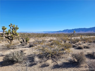 28054 N Sandview Dr, Meadview, AZ 86444