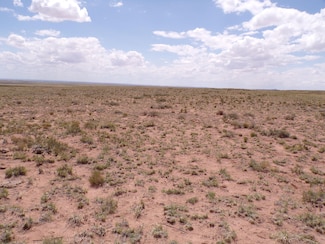 0 Ranchero Rd, Holbrook, AZ 86025