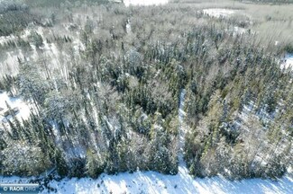 TBD County Road 55, Nashwauk, MN 55769