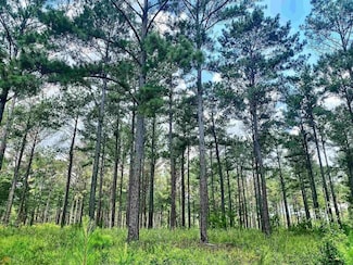 500 Georgia 224, Perry, GA 31069