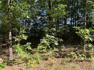 22.906 ACRES, Genito Rd, Amelia Ct Hse, VA 23002