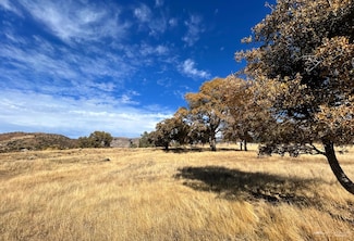 20808 Schell Ranch Rd, Caliente, CA 93518