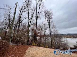.76 S Lakemont Dr N, Southside, AL 35907