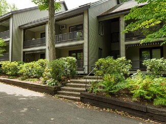 7 Morris Unit 9, Mayville, NY 14757