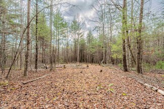 000 Marian Rd, Dugspur, VA 24325
