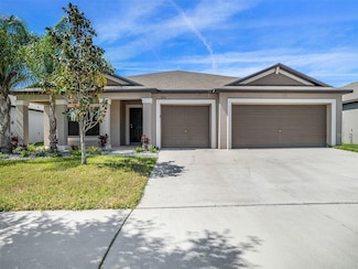 9731 Sage Creek Dr, Sun City Center, FL 33573