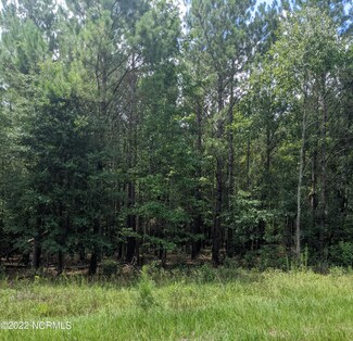 0 Whitestocking Rd, Burgaw, NC 28425