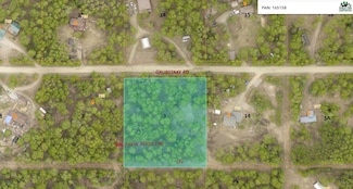NHN Lot 3 Grubstake Rd, Fairbanks, AK 99712