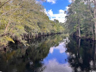 TBD Buck Swamp Rd, Fork, SC 29543