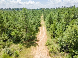 1455 Neal Rd, Huntington, TX 75949