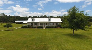 11319 U S 441, Micanopy, FL 32667