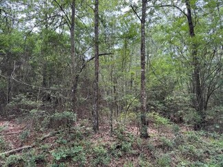 NA New Home Rd, Magnolia, MS 39648