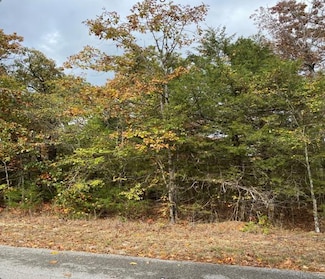 902 W Tri Lakes Dr, Horseshoe Bend, AR 72512