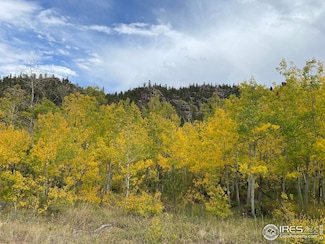 53 Ada Ct, Red Feather Lakes, CO 80545