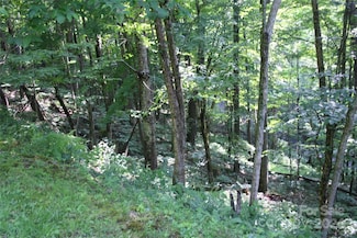92 Goldenleaf Rd, Mars Hill, NC 28754