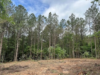 0 Spay Rd, McCool, MS 39108