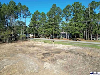 507 State Rd, Cheraw, SC 29520