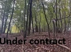 0 Bert Cockerham Rd, Elkin, NC 28621