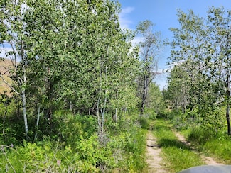 TBD Roundabout Rd, Tonasket, WA 98855