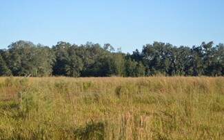 0 Tbd Cr 252 Unit 103978, Live Oak, FL 32060