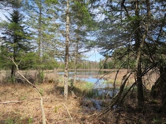 8083 Moose River Rd, Port Leyden, NY 13433