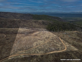 Lot 4 Rail Canyon Rd, Springdale, WA 99173