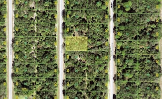 3136 Olney St, Port Charlotte, FL 33948