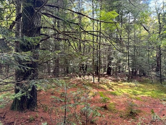 1.3 Farr Rd Unit 3, Ohio, NY 13324