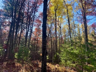 11470 Dale Ct, Minocqua, WI 54548