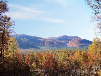 61 Scenic Vista Dr Unit 238, Nebo, NC 28761
