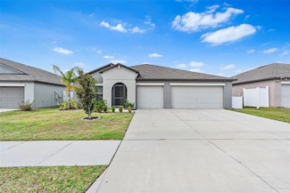 13557 Willow Bluestar Loop, Riverview, FL 33579