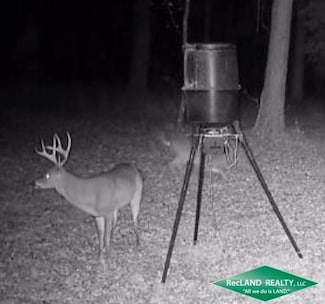 0 Stuart Lake Rd, Pollock, LA 71467